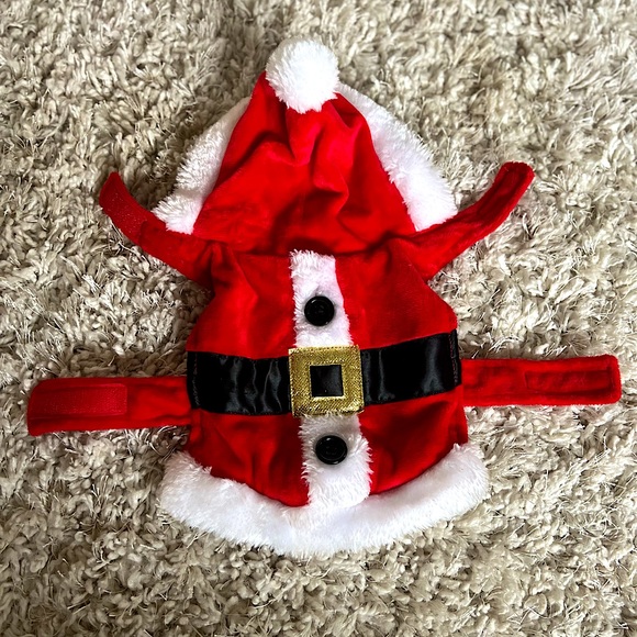 Other - PUPPY SANTA COSTUME